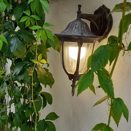 Statevi Guest 1 * Welingrad