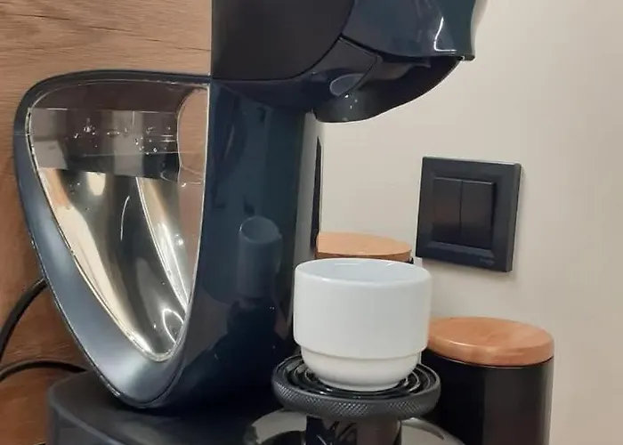 Statevi Guest 1 Welingrad