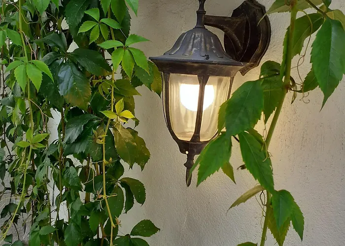 Statevi Guest 1 * Velingrad