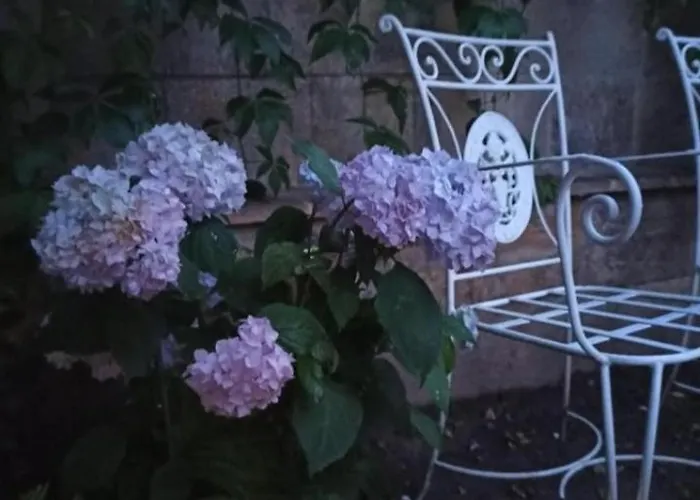 Apartament Statevi Guest 1